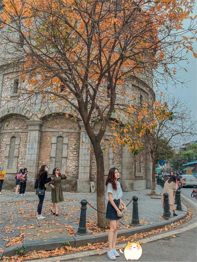 Aura Home Whole French House 河内 外观 照片
